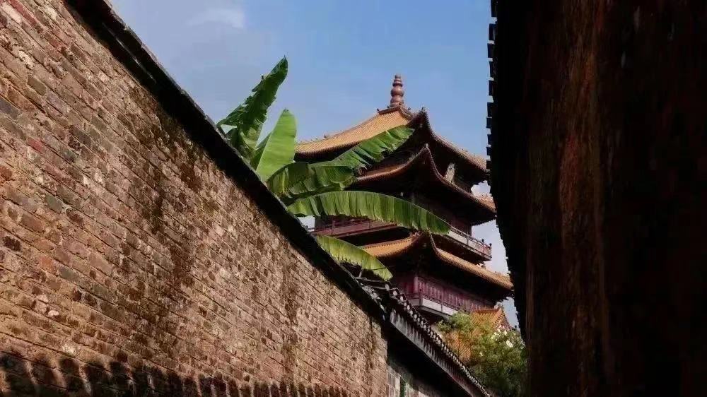 Spring Outing in Jingdezhen