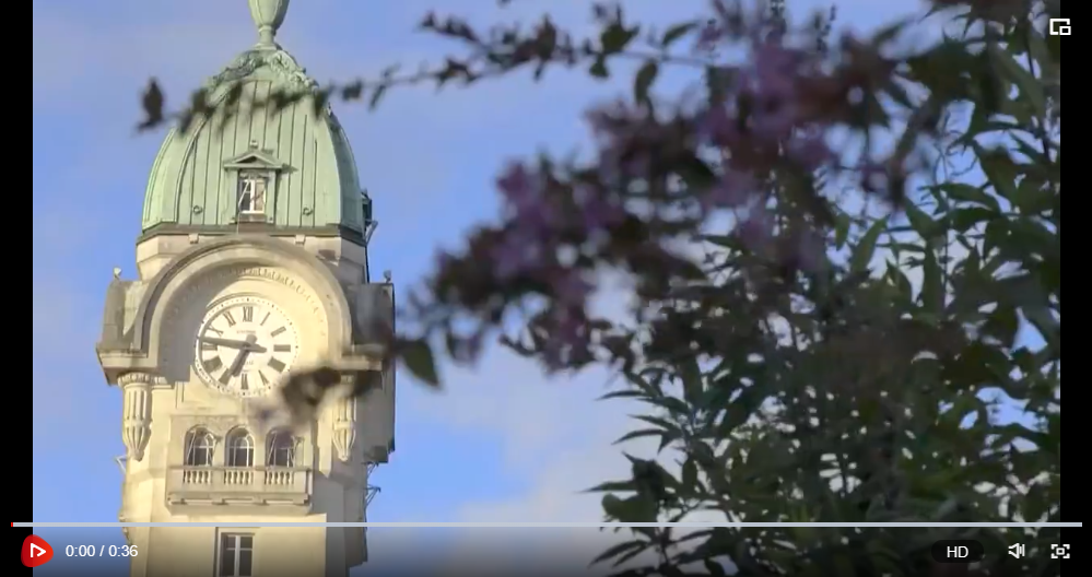 A France porcelain-making town's connection with China