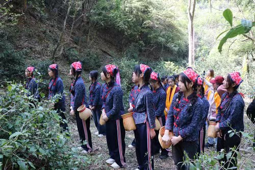 Fuliang  ancient tea base entered the harvesting season