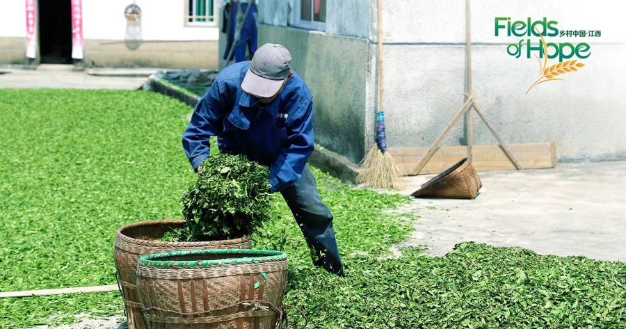 Tea leaves are flying in the air
