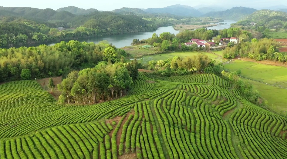 The Great Beauty of Jingdezhen (4)