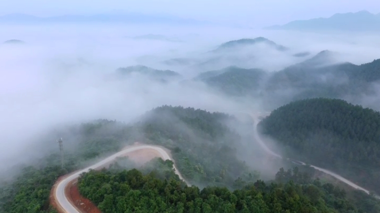 The Great Beauty of Jingdezhen (5)