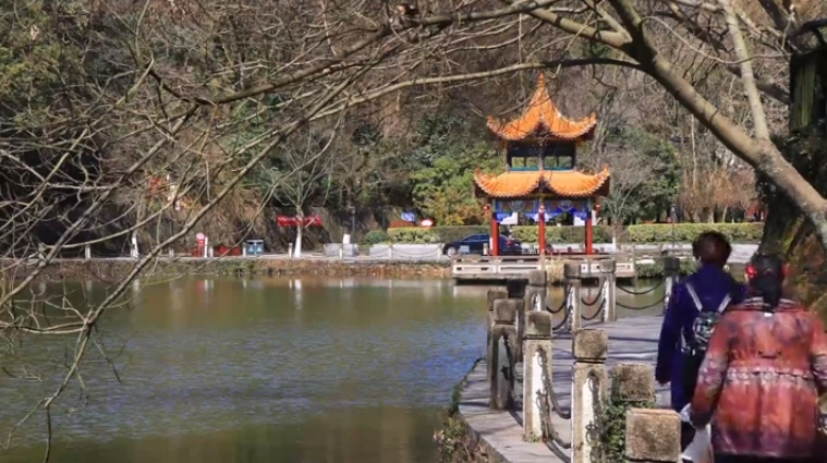 The Great Beauty of Jingdezhen(25)