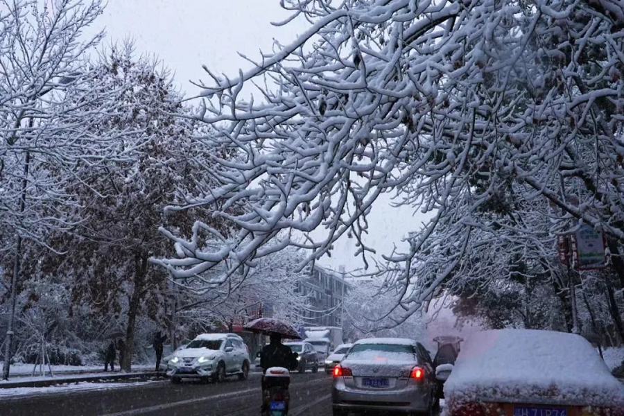 Look! Jingdezhen's first snow in 2024!