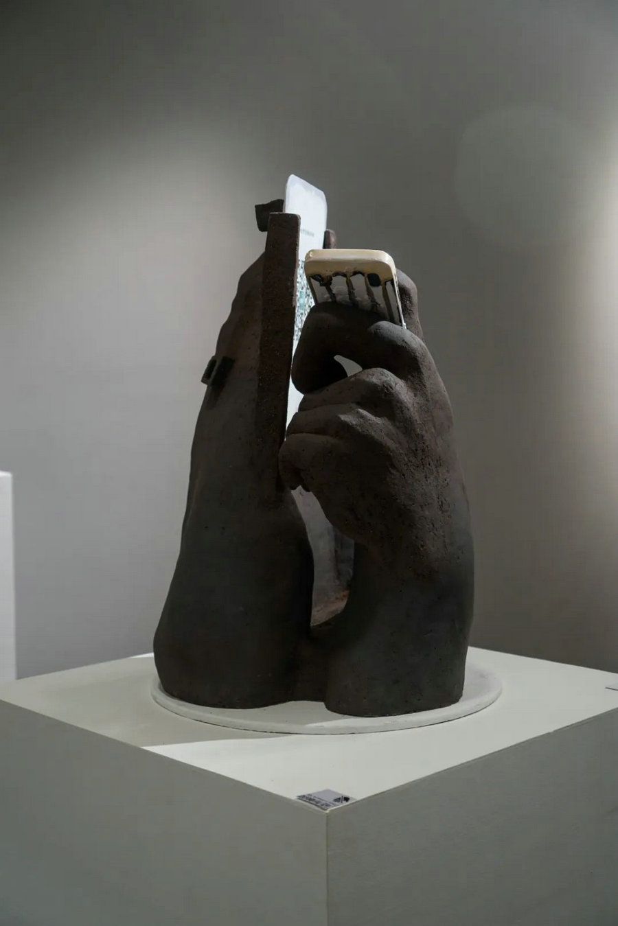 Migratory birds project Artist Georgij Melnikov