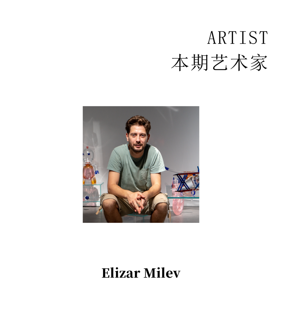 Migratory birds project Artist Elizar Milev