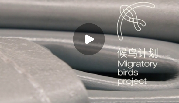 Migratory birds project Artist Marga Knaven