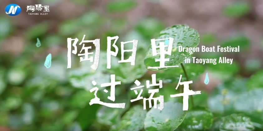 Dragon Boat Festival in Taoyang Alley