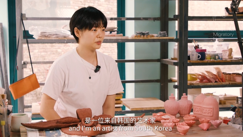 Taoxichuan Migratory Birds Project Soeun Park