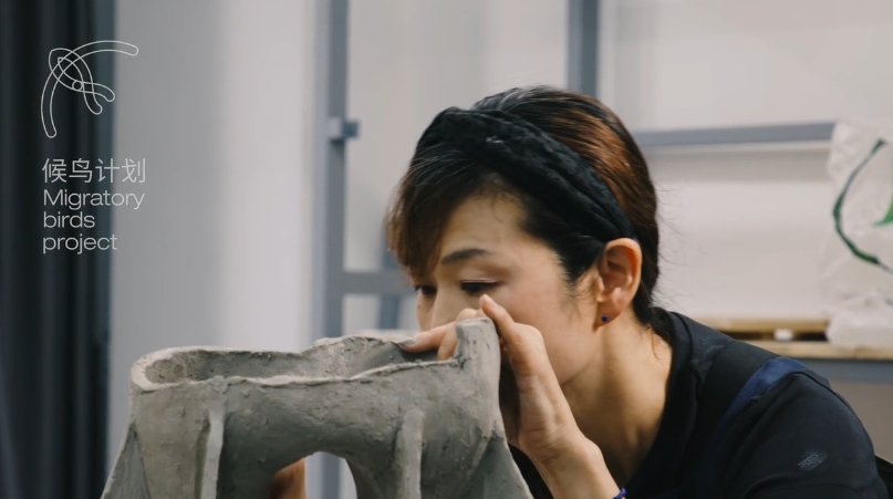 Taoxichuan Migratory Birds Project Mariko Okubo