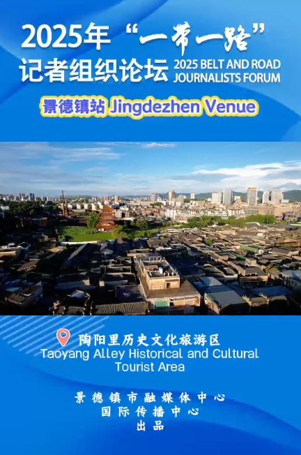 2025 BELT AND ROAD JOURNALISTS FORUM——Taoyang Alley