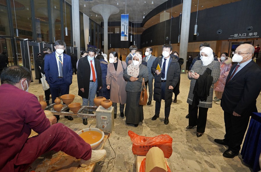 Arab youths realize dream through exchanges